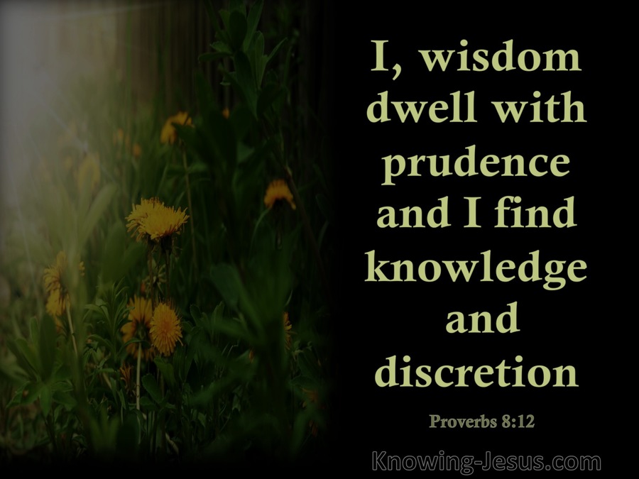 Proverbs 8:12 Wisdom Dwells With Prudence (black)